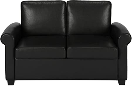 DHP Logan Doppelschlafsofa/Couch zum Herausziehen, Twin schwarz .